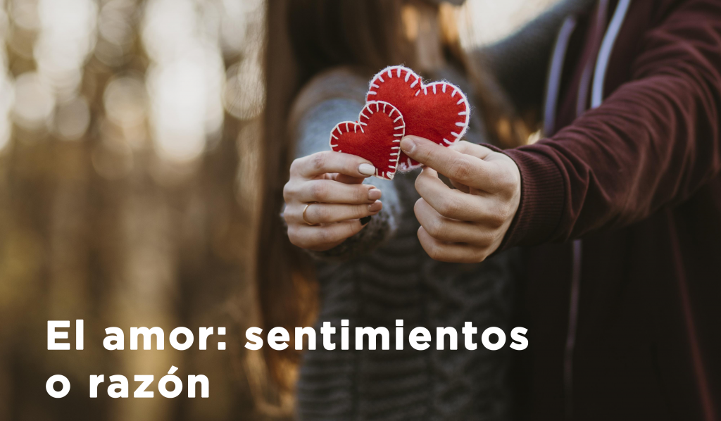 El Amor Sentimientos O Razón Blog Insuco 9582